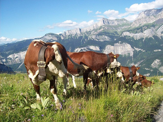 L'Alpage de Mayères (mountain pasture)