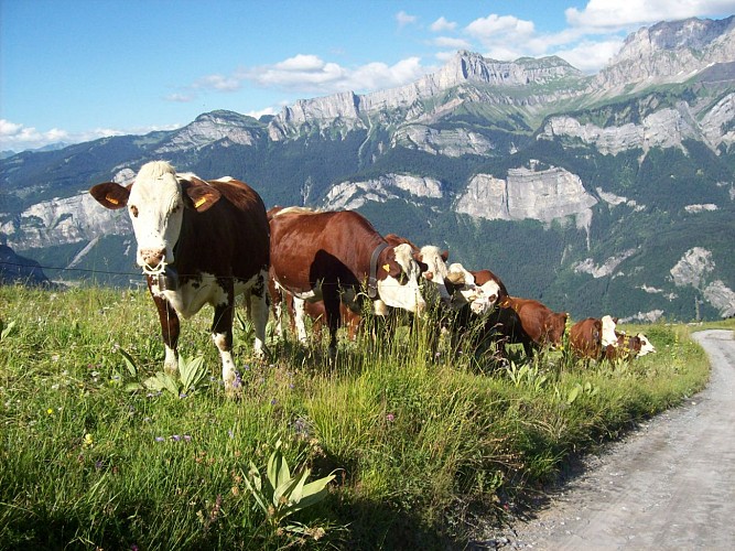 L'Alpage de Mayères (mountain pasture)