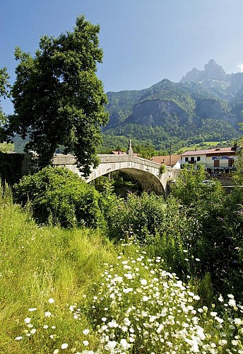 Le Vieux Pont de Saint-Martin (old bridge)