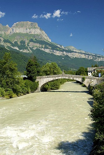 Le Vieux Pont de Saint-Martin (old bridge)