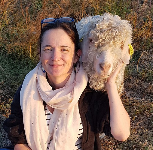 La Ferme des P'tits Bergers - Laine mohair et de mouton - Loiret