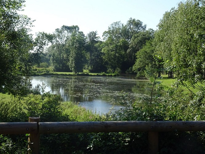 Plan d'eau de Bonnoeuvre