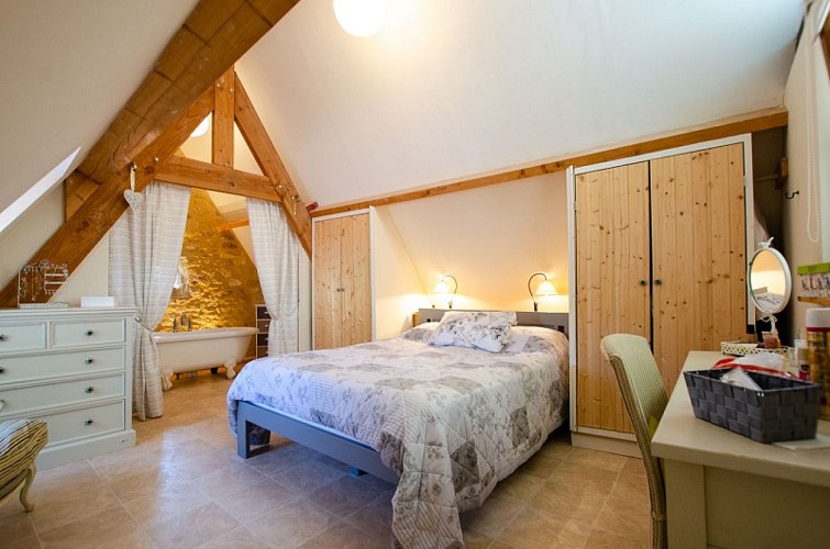 Chambre spacieuse et lumineuse avec salle de bain privative
