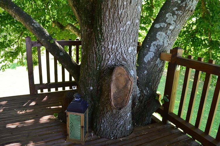 Cabane dans les arbres - Les Cabanes de Gros Bois