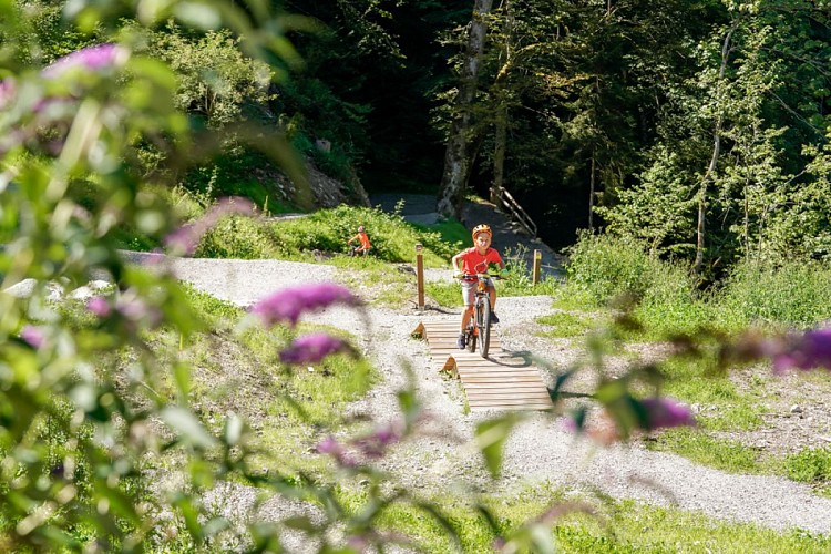 Bikepark de Saint-Gervais
