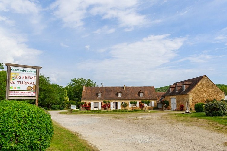 PHOTO-N-1-ferme-de-turnac