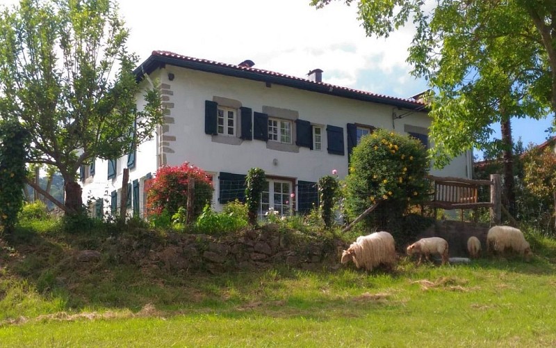 Pourtau-Etxexuria -facade est-Lantabat