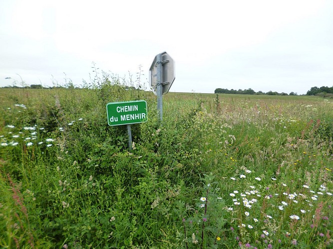 Prendre à gauche le chemin du Menhir