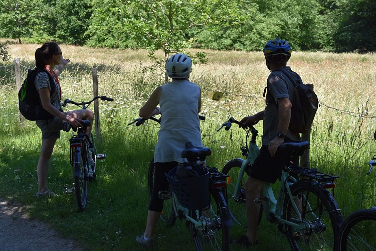 Location de vélo électriques à La Roche-sur-Yon