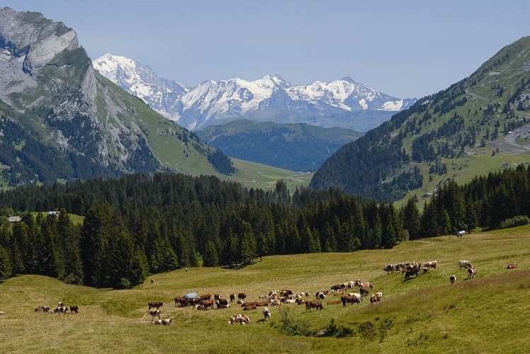 GAEC La Ferme de Lorette