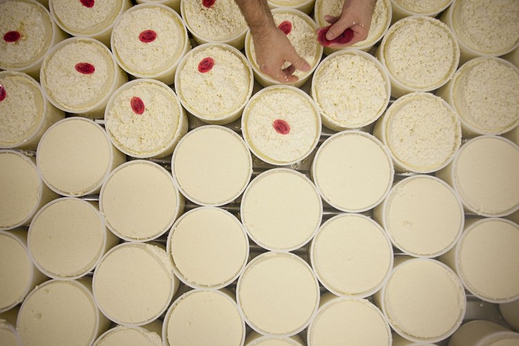 Val d’Aillon Cheese Dairy