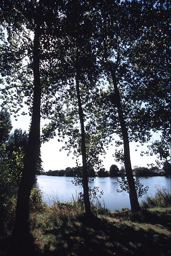 L'étang du Guébriand