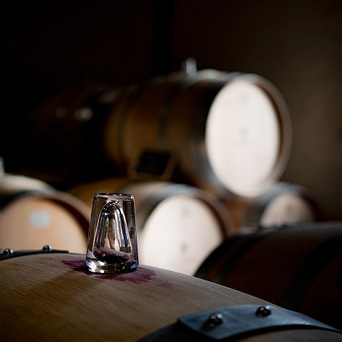 131894579_141310061104041_2071036401108183433_n