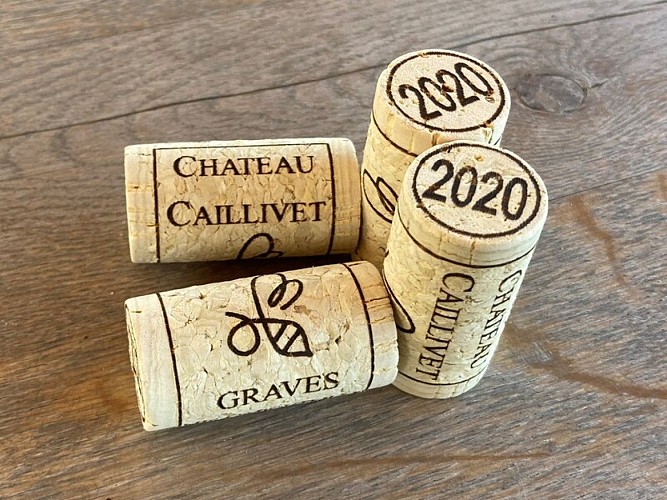 Château Caillivet - MAZÈRES - Sud-Gironde 4