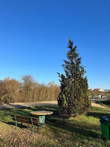 Aire de pique-nique - La clé des Champs