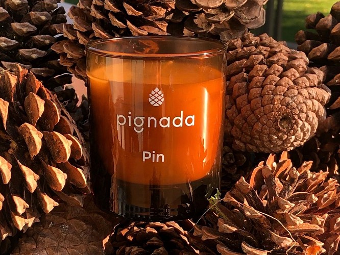 ©Boutique Pignada 2023 (1)