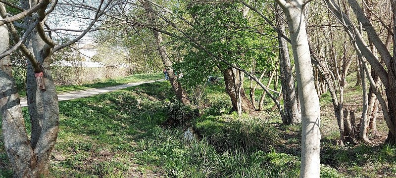 Promenade du Ru de Rungis
