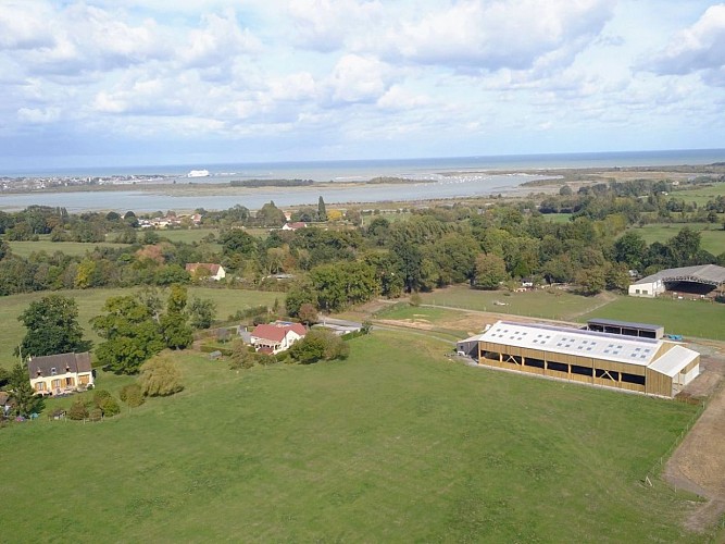 Les crins de la baie Merville-Franceville-Plage