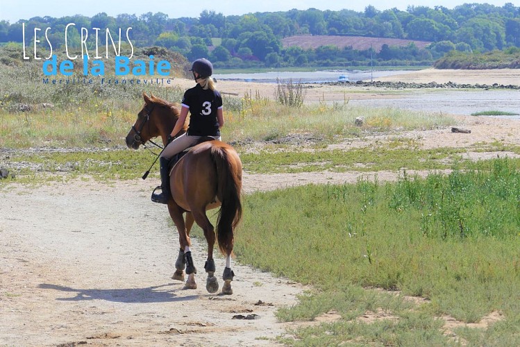 Balade à cheval dans la baie