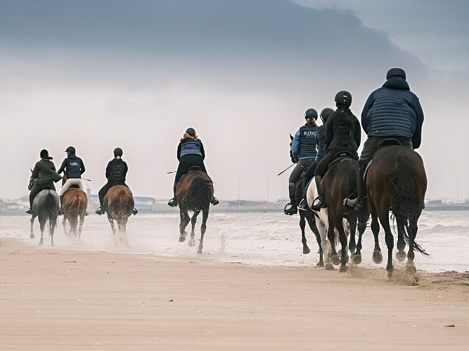 Galop sur la plage