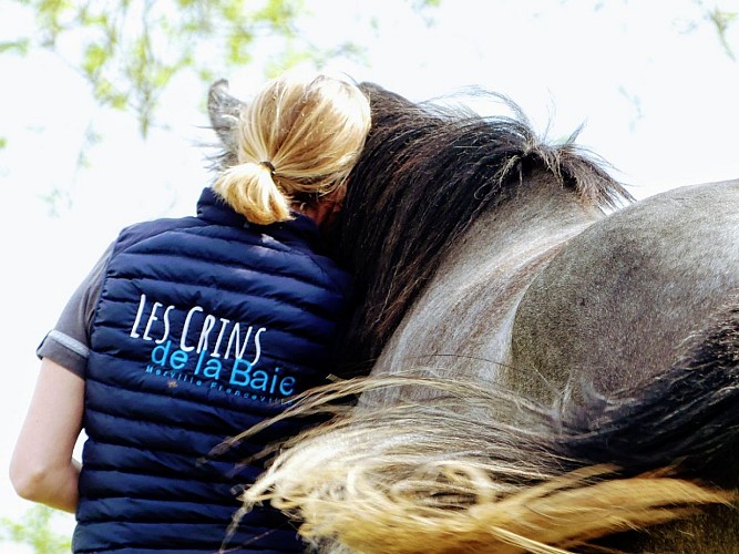 Un moment avec votre cheval