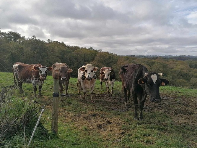 Boueilh-Boueilho-Lasque Les Délices de Nanou vue campagne