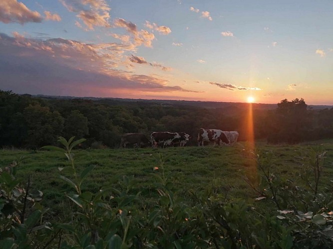 Boueilh Les délices de Nanou vue campagne