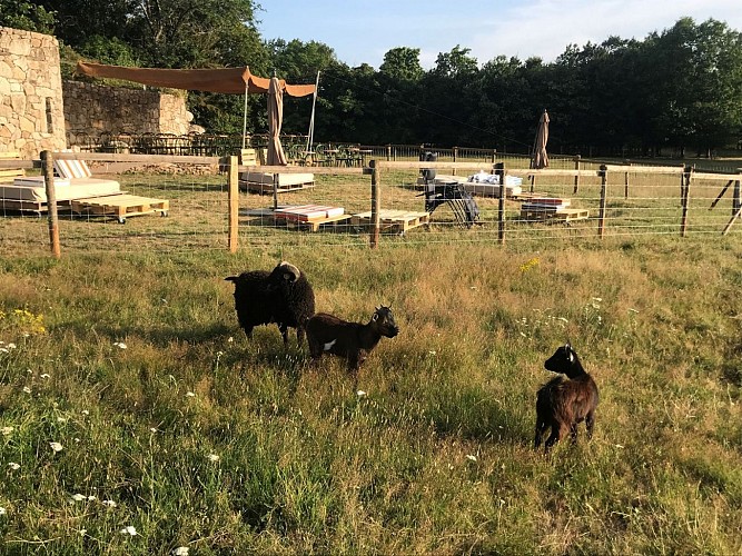 Domaine de l'Entrelacs - Parc Résidentiel