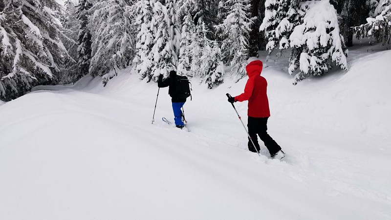 Les Etoiles du Sport - Skiset