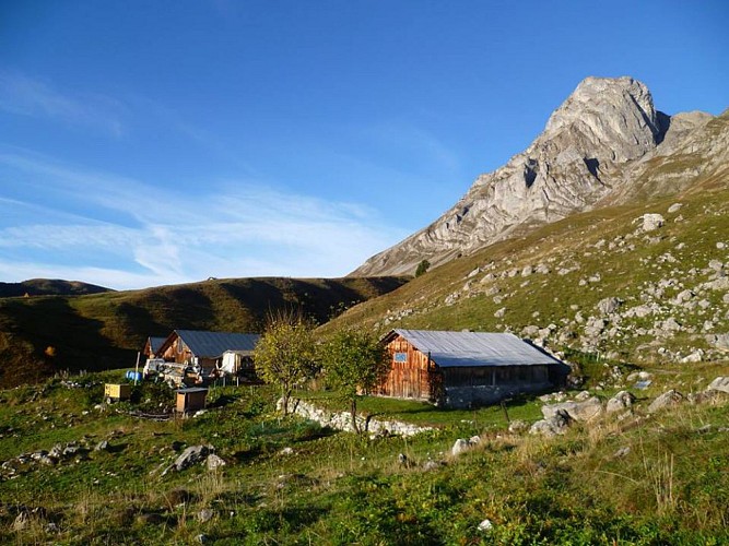 L'Alpage des Frédys (mountain pasture) - Vallée de Coeur