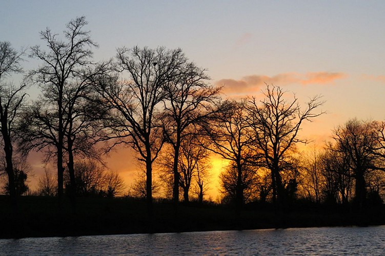 Etang de la Roulière depuis la maison