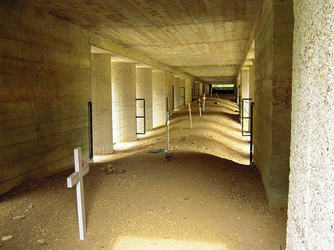 TRENCH OF BAYONETS