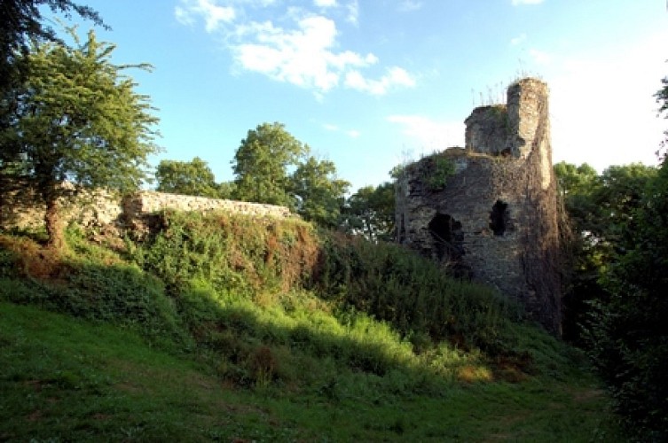 Les vestiges du château de Montafilan