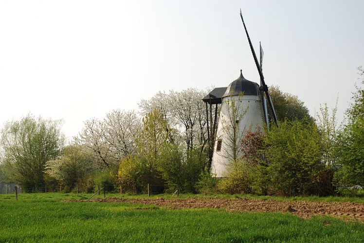 Le moulin du Tiège
