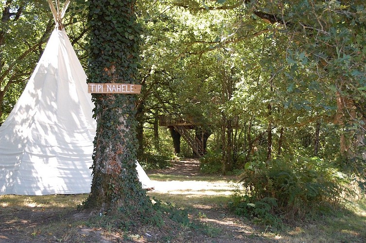 st-pierre-des-echaubrognes-domaine-chnatoiseau-tipi4