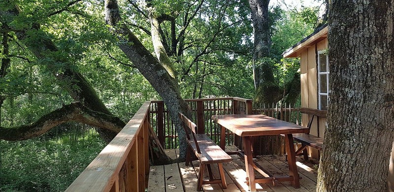 st-pierre-des-echaubrognes-domaine-chantoiseau-cabane-peter-pan