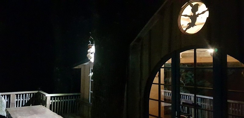 st-pierre-des-echaubrognes-domaine-chantoiseau-cabane-peter-pan-nuit