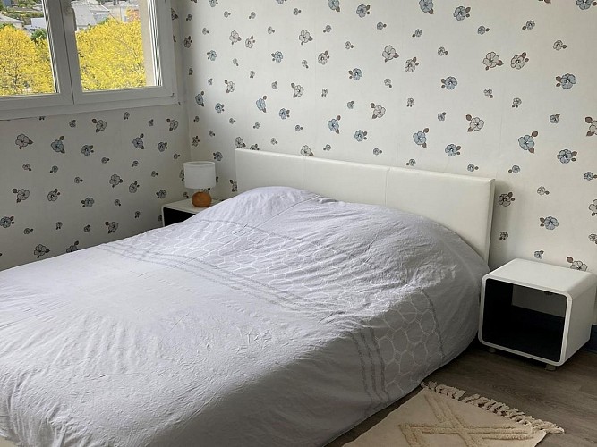 Appartement centre-ville Vire (TIS) (4)