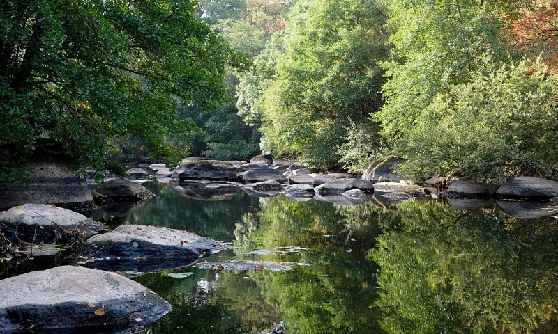 Chambre d'Hôtes La Maison du Sculpteur