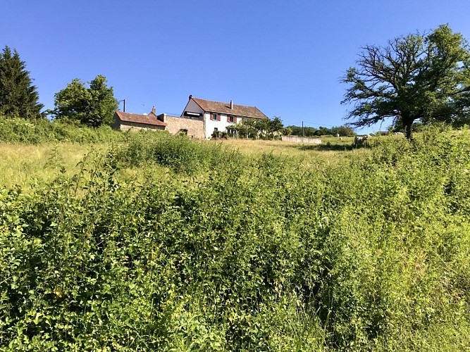 Grand terrain entourant le gite