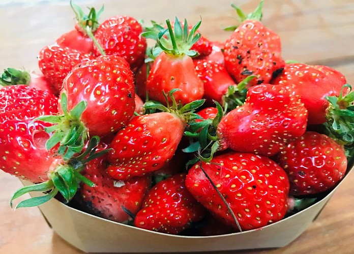 Les Jardins de la Vrignaie