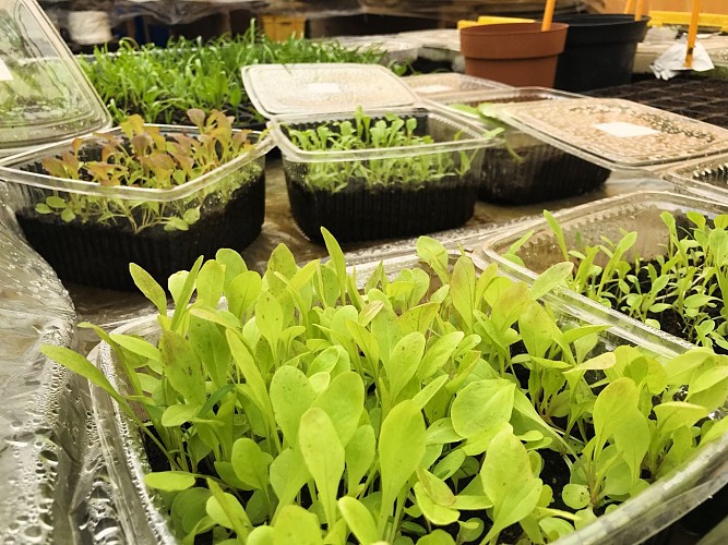 Les Jardins de la Vrignaie