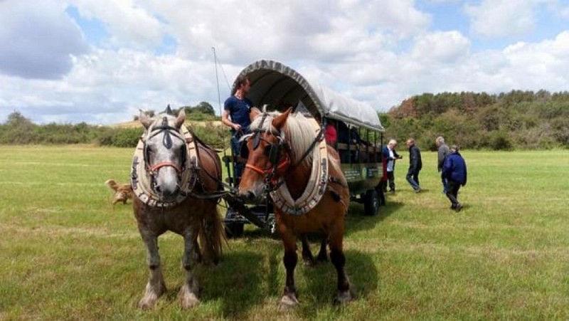 Sortie en chariot pour les groupes