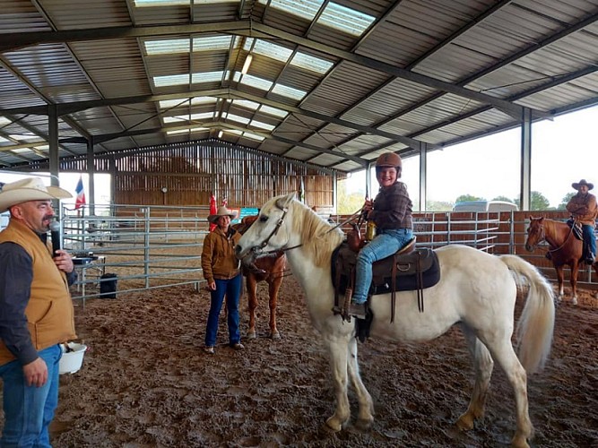 Ecurie de propriétaire, équitation western