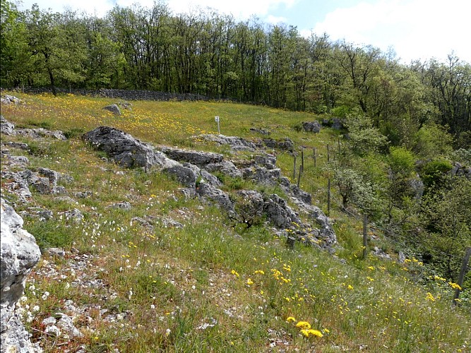 Vue depuis le plateau