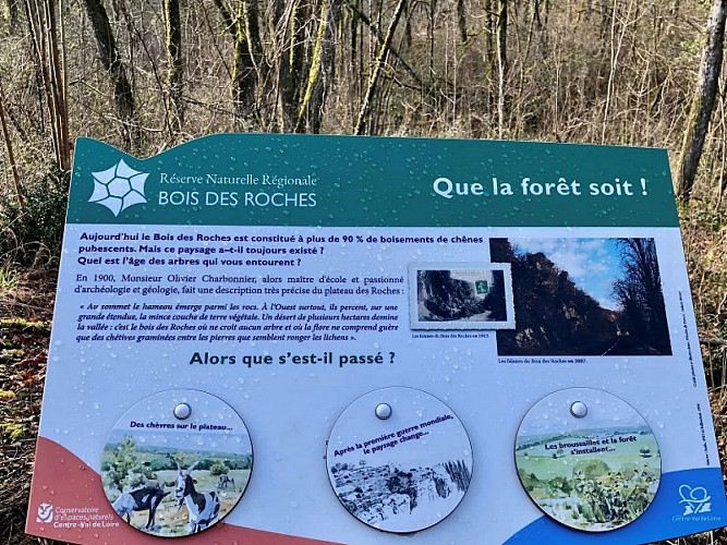 panneau_histoire-foret_RNR-Roches_ MP_2024