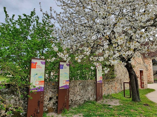 MDP-Départ circuits