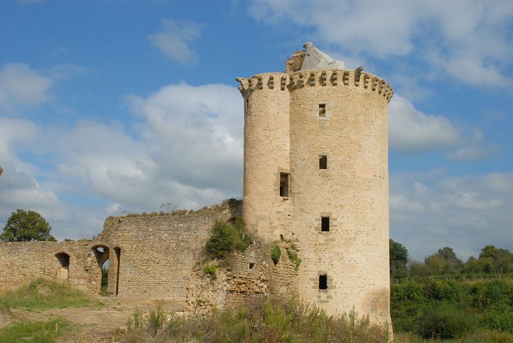 Château de la Prune au Pot à Ceaulmont