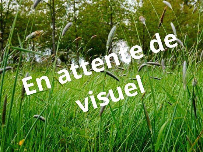 En attente de visuel - 7