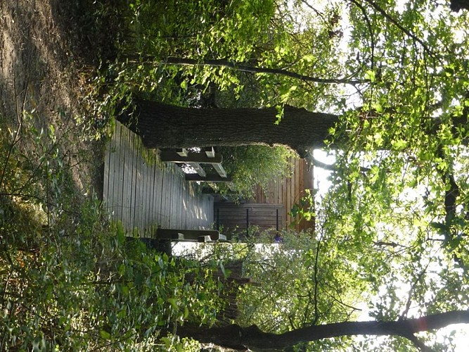 RNR Massé Foucault Observatoire Massé - PNR Brenne